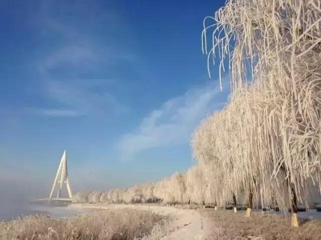 揭秘跑马图魅力，探索未知领域的奇幻之旅