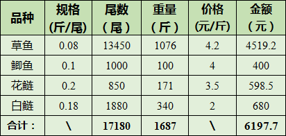 白小姐四肖四码100%准,全面执行计划_pack83.582