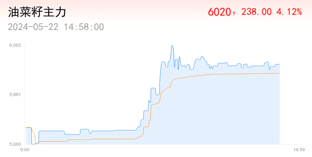 2024天天好彩,可靠执行计划策略_苹果版69.410