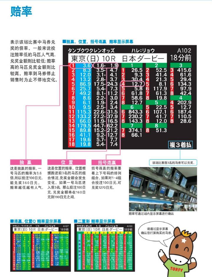 132688am马会传真查询,创新性执行计划_进阶款62.765