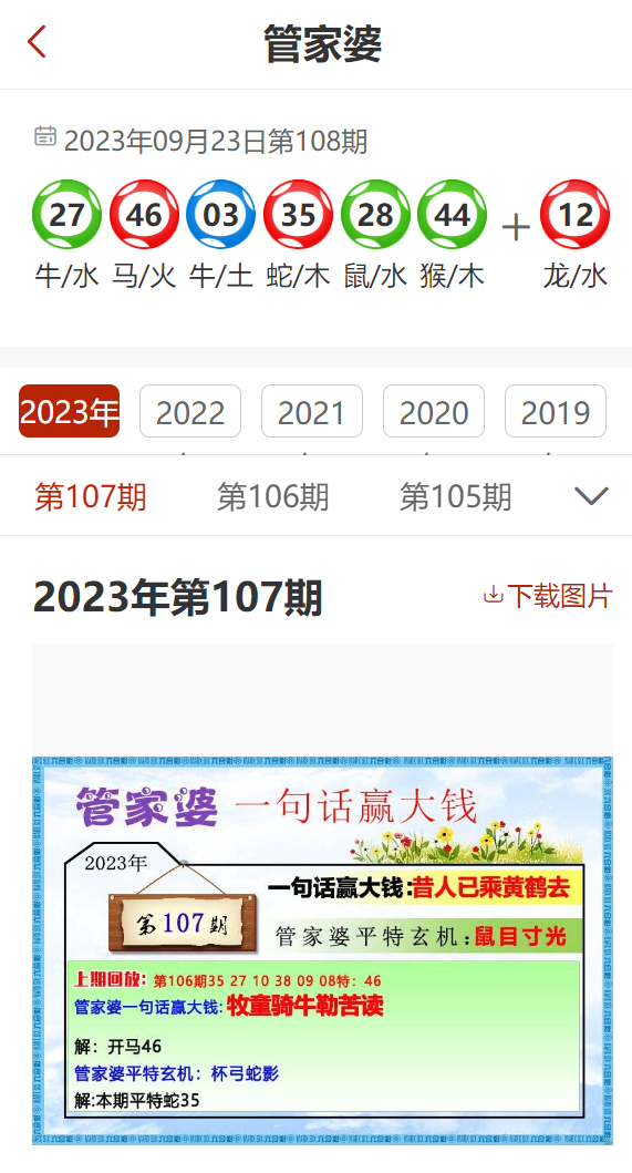 新奥管家婆免费资料2O24,稳定性策略解析_限定版24.608