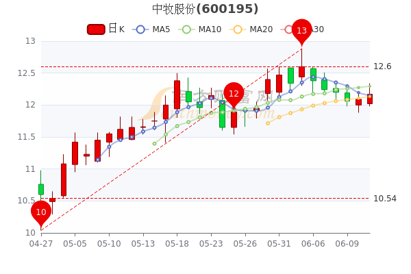 中牧股份股票最新动态全面解读