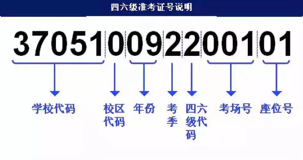 新澳门濠冮论坛,快速解答策略实施_Tizen56.763