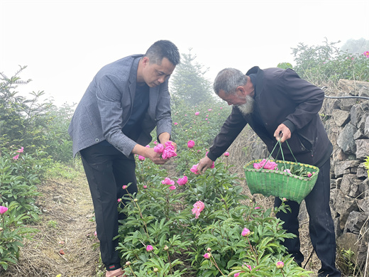 芍药山乡交通新动态，乡村振兴与交通发展深度融合之路