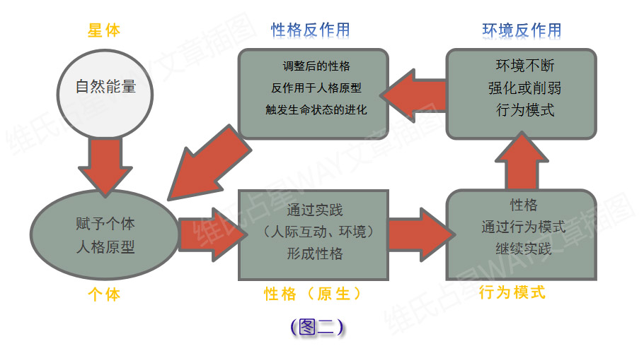 新澳2024最新资料24码,完善的执行机制解析_2D58.903