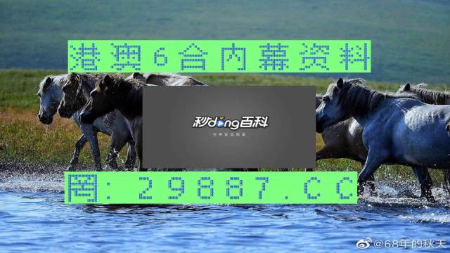 马会传真-澳门免费资料使用方法,数据解析支持方案_完整版77.98