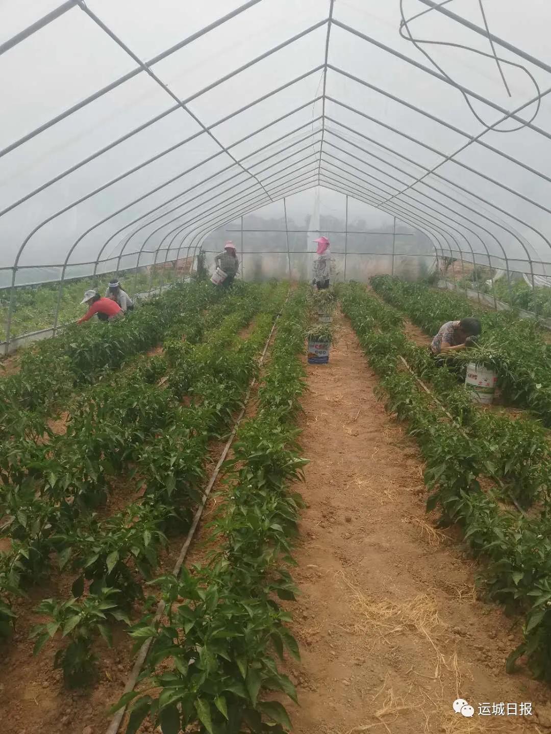 好日子社区新项目，重塑城市生活典范