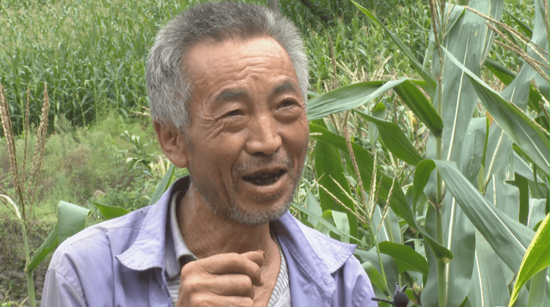 种青村领导团队引领村庄新发展