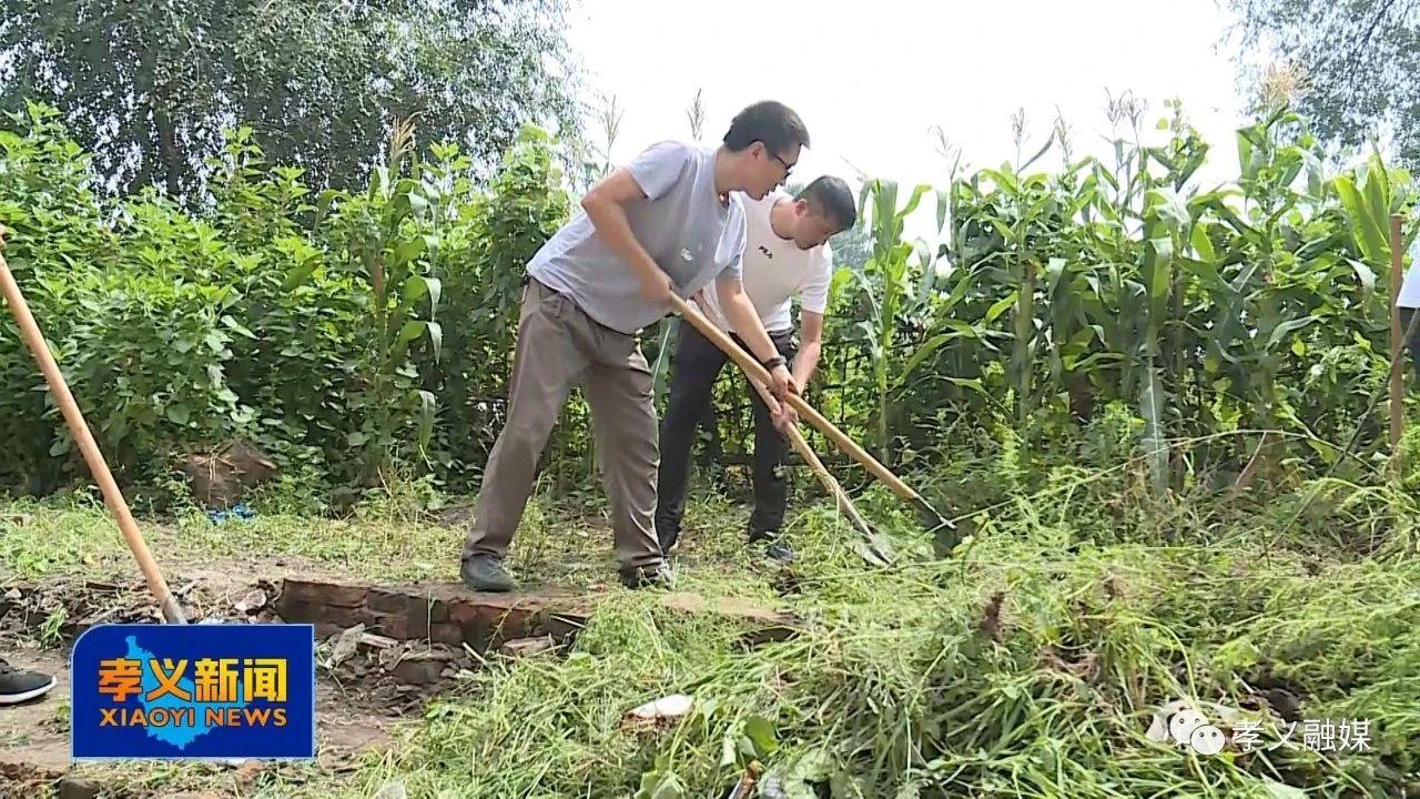 孝义市统计局招聘启事概览