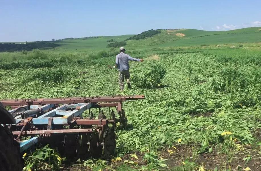 嫩江县级公路维护监理事业单位最新项目深度研究