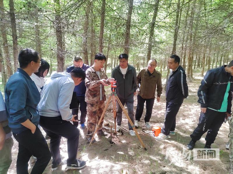 内下林场最新新闻报道概览