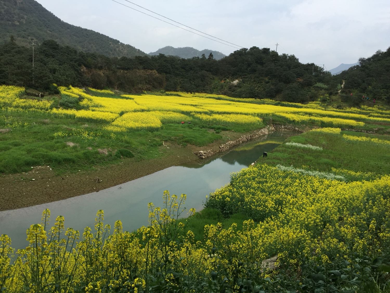 黄坝乡天气预报更新通知