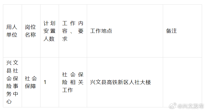 文成县审计局最新招聘公告详解