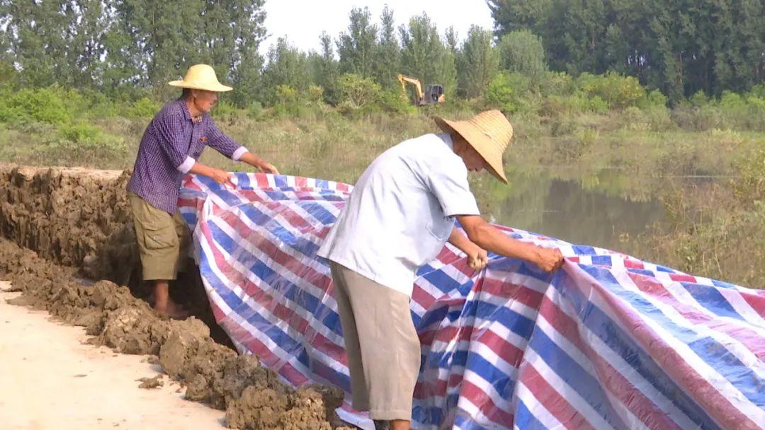 桥西区公路运输管理事业单位领导概况更新