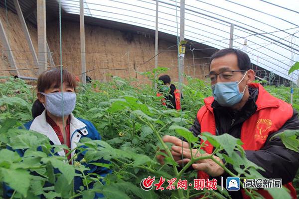 赵寨子镇新闻快报，最新动态一览