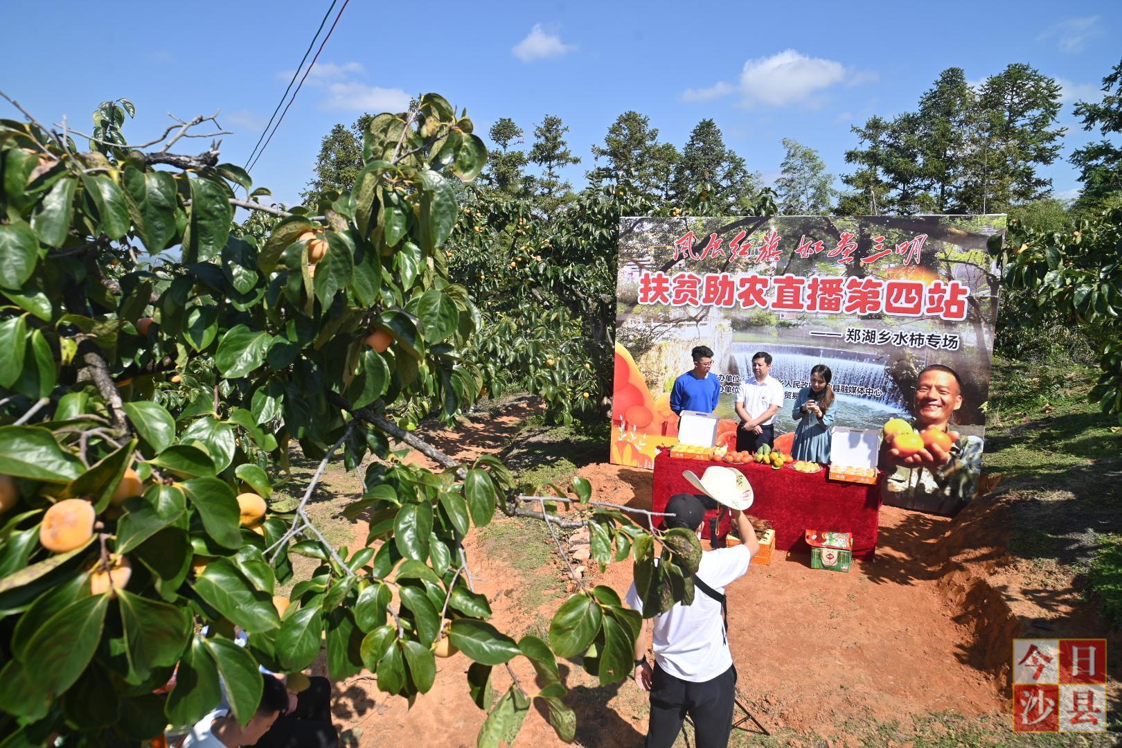 郑湖乡新项目，引领地方发展的动力之源