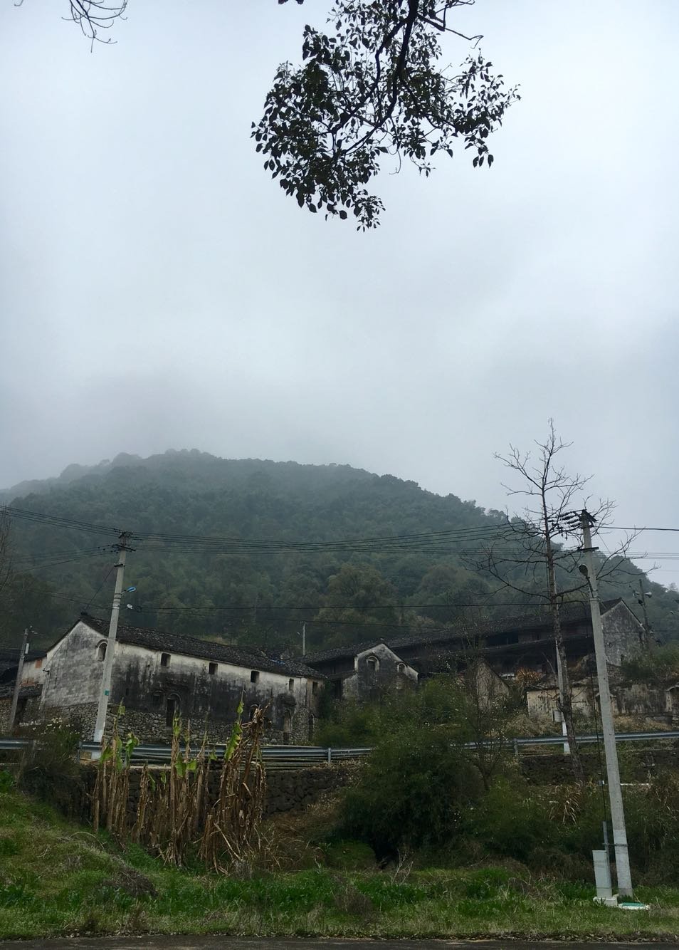 那琴乡天气预报更新通知