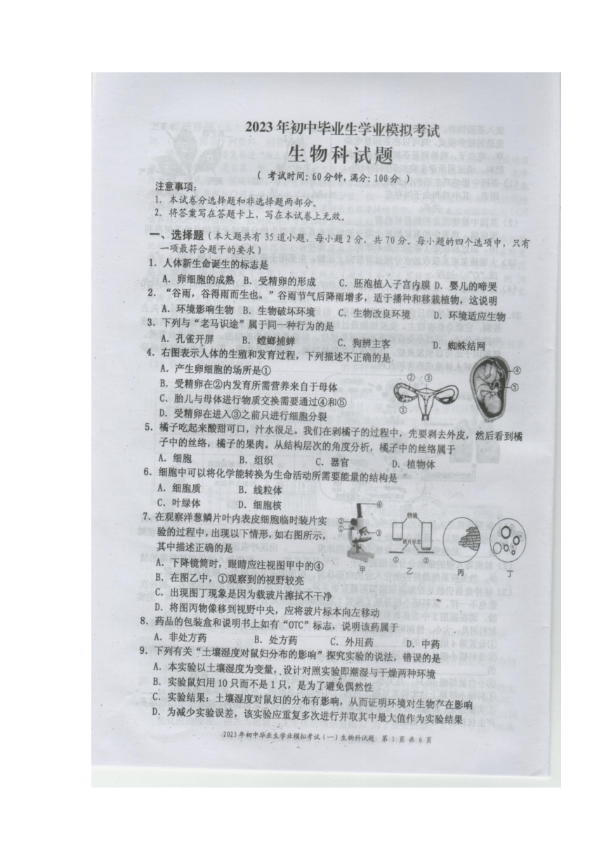 省直辖县级行政单位市教育局人事任命重塑教育领导层，推动地方教育新篇章开启