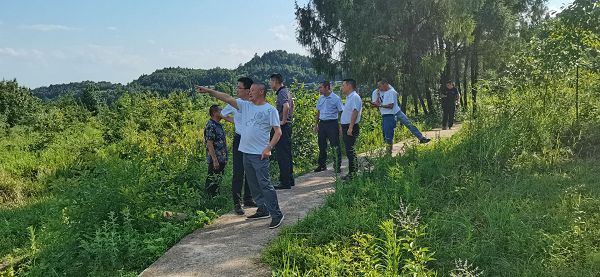 鹅蛋山村新领导引领乡村振兴新篇章