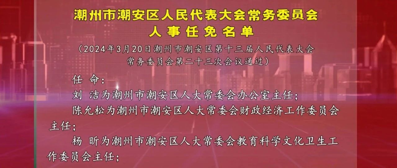 潮音村人事任命最新动态