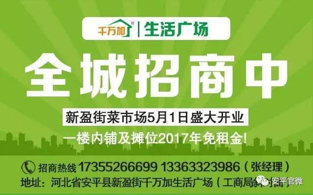 道里区人力资源和社会保障局最新招聘概述及职位详情