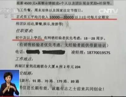 崇阳县初中最新招聘信息汇总